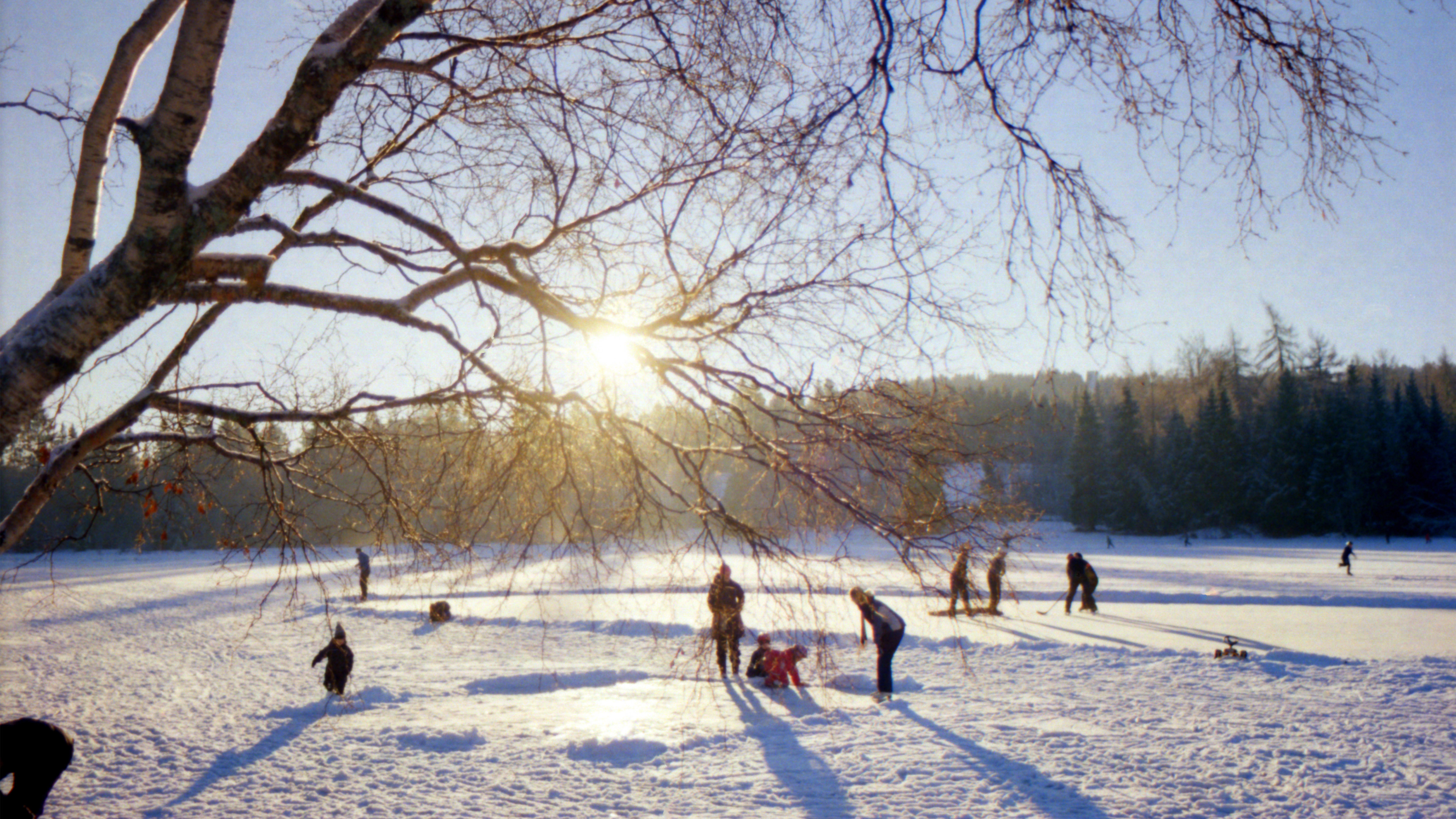 A group of people ice skating on a frosted lake on a sunny winter day