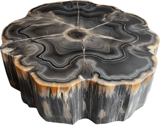 sdc_object_17